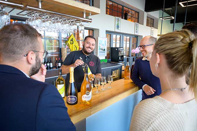 visuel newsletter novembre 2025 cave coopérative île de Ré vin pineaux cognacs