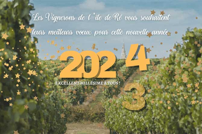 visuel newsletter janvier 2024 cave coopérative île de Ré vin pineaux cognacs